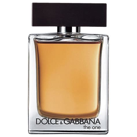 dolce gabbana the one erkek|the one for men dolce gabbana.